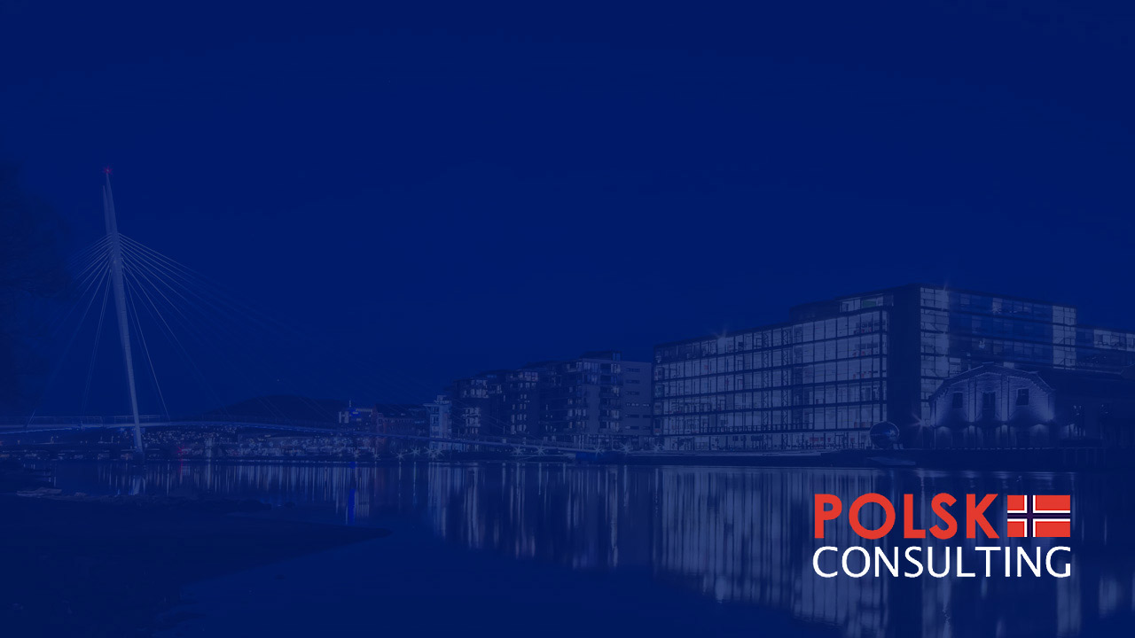 POLSK CONSULTING Z.WYGANOWSKI